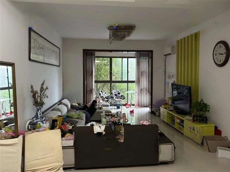 金域南外灘（望江佳園）法拍房2棟203號