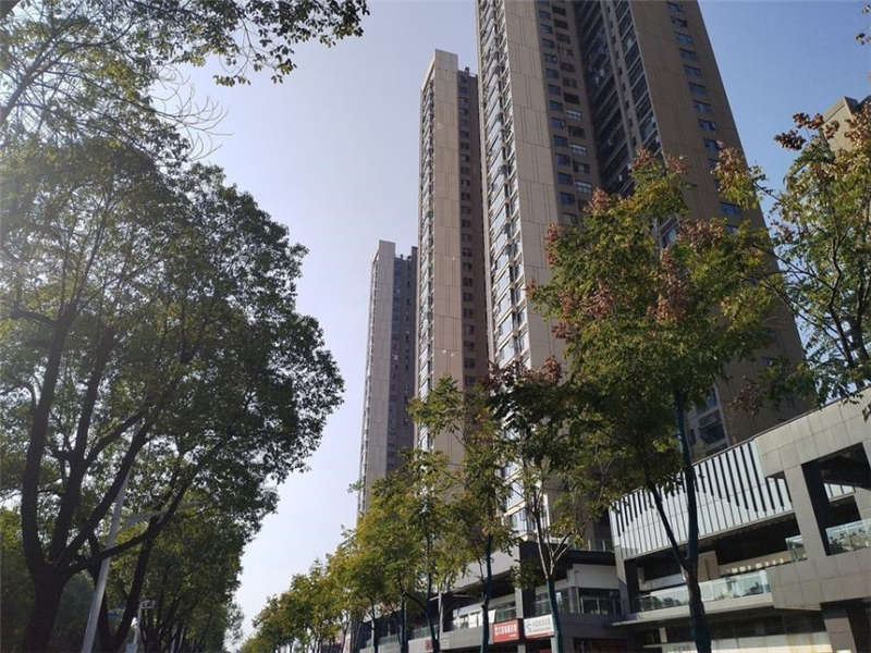 1679559157812544.jpg O1CN01MFePWR1J6syBG9pGC_!!3075610980-0-paimai_gov.jpg_960x960.jpg