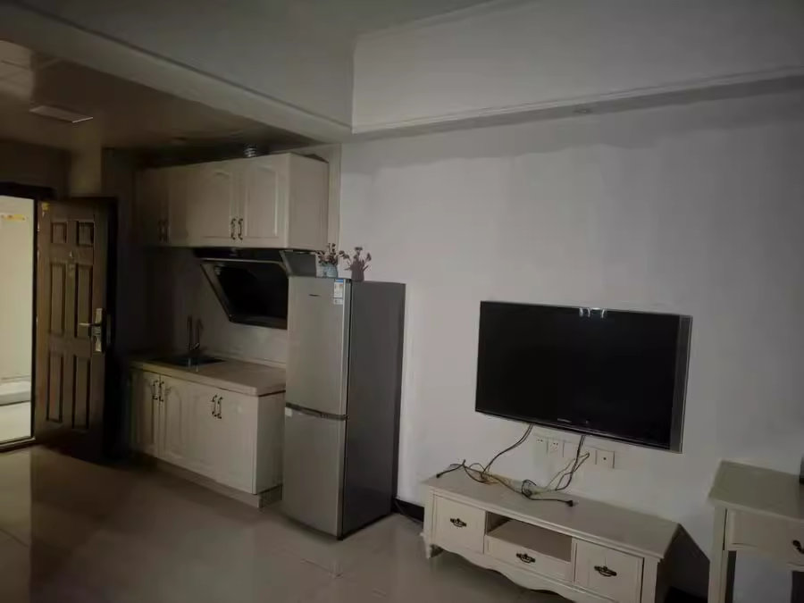 （雙學(xué)位）北辰三角洲奧城E4區(qū)法拍房4棟塔樓2011號房（建議等二拍 ）